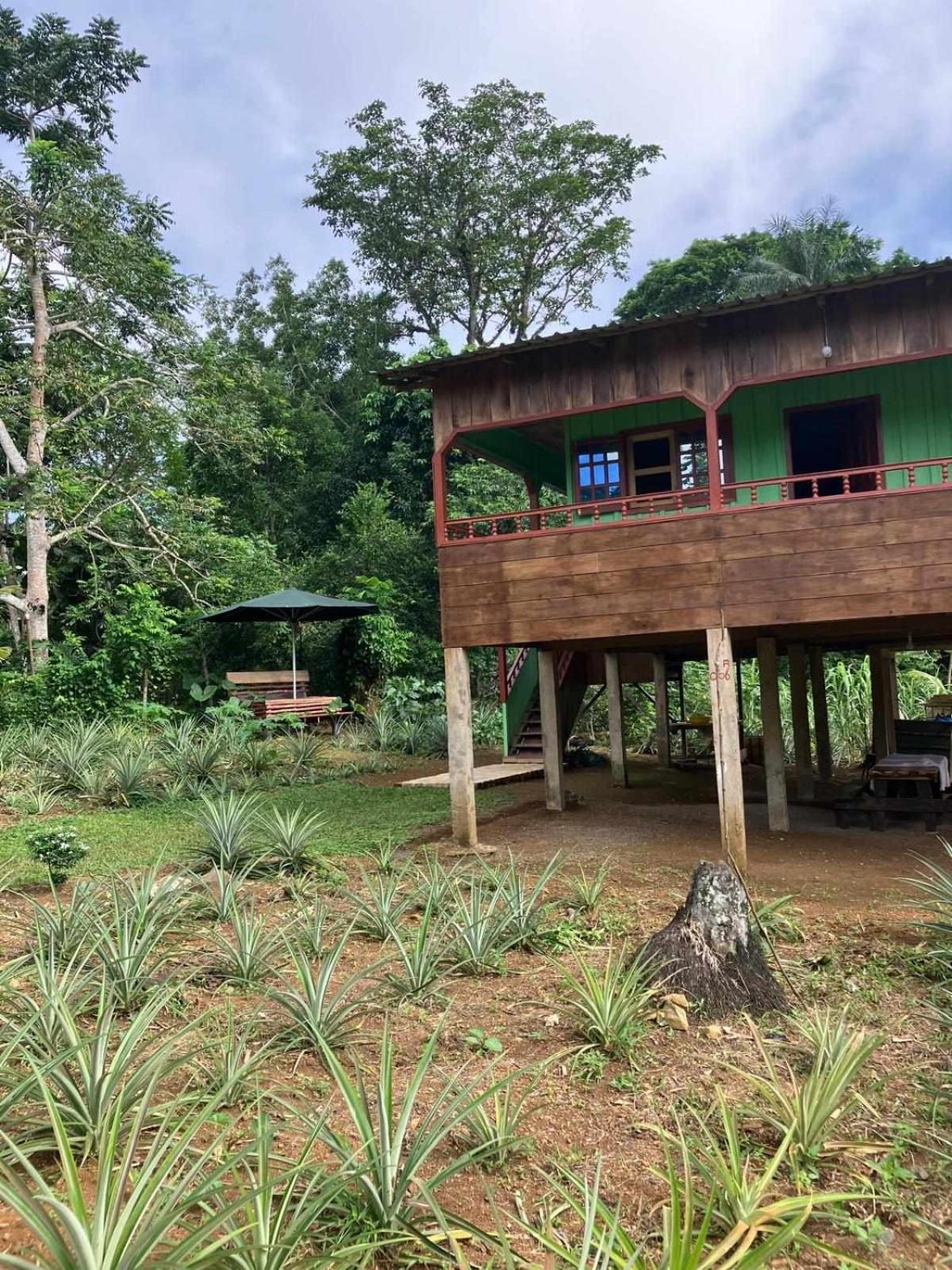 Casas Salomao Hotel Santo António Buitenkant foto